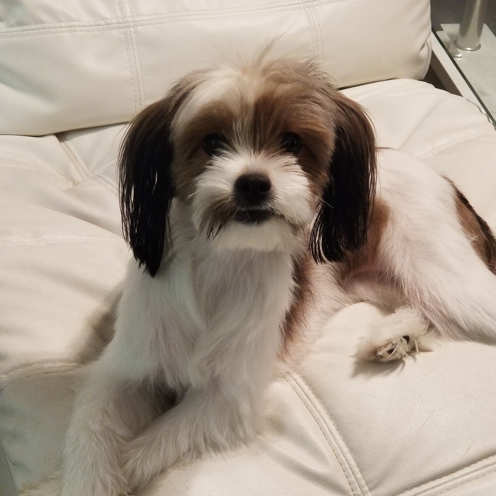 Meet your Posher, Navz